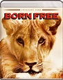 Born Free (1966) BluRay 1080p HD VIP - Unsoloclic - Descargar Películas ...