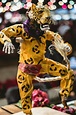 la danza del jaguar Oaxaca de Juarez Mexico 2018 | Jaguar, Dibujos ...