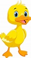 Premium Vector | Cute cartoon duck