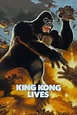King Kong II streaming sur LibertyLand - Film 1986 - LibertyLand, LibertyVF