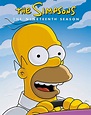 The Simpsons: Season 19 [DVD] - Best Buy