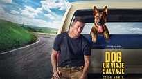 Ver película "Dog, un viaje salvaje" online gratis - TokyVideo