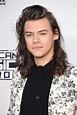 Harry Styles Hair at American Music Awards 2015 | POPSUGAR Beauty
