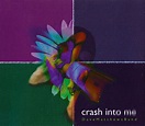 Dave Matthews Band - Crash Into Me | Releases | Discogs