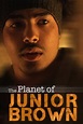 The Planet of Junior Brown (1997) par Clement Virgo