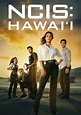 Navy CIS: Hawaii Staffel 1 - Jetzt Stream anschauen