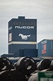 Nucor Steel West Virginia hopeful for summer groundbreaking | News ...