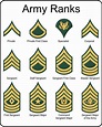 Military U.S. Army Rank insignia metal sign | eBay