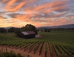 Ukiah, CA : View overlooking vineyard in the southern Ukiah valley ...