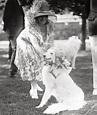 Calvin Coolidge's Dog, Prudence Prim - Presidential Pet Museum