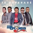 Te Esperaré (En Vivo) - Single by Grupo Bryndis | Spotify
