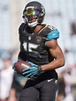 Jaguars Trying To Re-Sign Allen Robinson