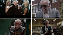 Stan Lee’s 11 Best Cameos and Where to Stream Them - The New York Times