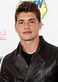 Image of Gregg Sulkin