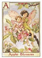 Cicely Mary Barker Apple Blossom Fairy Childrens Nursery - Etsy in 2022 ...
