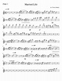 Married Life Flute 1 of 3 Sheet music for Piano (Solo) | Musescore.com