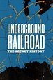 Underground Railroad: The Secret History (2022) Season 1 - (TV Series ...