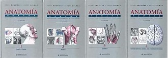Los 4 Tomos de Anatomia Humana Rouviere en PDF