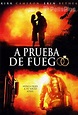 Ver A Prueba de Fuego (2008) Online Latino HD - PELISPLUS