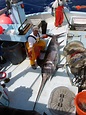 Pacific Swordfish | California Sea Grant