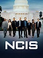 NCIS - Full Cast & Crew - TV Guide