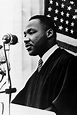 Dr. Martin Luther King, Jr.: A Historical Perspective (1994) - subs.bg