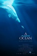 A Plastic Ocean - Film documentaire 2015 - AlloCiné