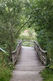 Trails at Matthaei | Matthaei Botanical Gardens and Nichols Arboretum ...