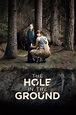 The Hole in the Ground (2019) - Posters — The Movie Database (TMDb)