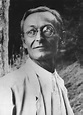 Hermann Hesse (1877-1962) - Álvaro Heras-Gröh