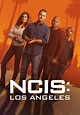 NCIS: Los Ángeles temporada 14 - Ver todos los episodios online