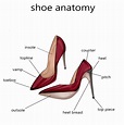 My Shoe Anatomy | Learn More Now! Foot Doctor| Marietta and Atlanta