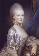 1769 Marie-Antoinette by Joseph Ducreux (Versailles) | Grand Ladies | gogm