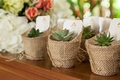 Giving Plants as Wedding Favors | My Frugal Wedding