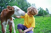 Keeping Kids Engaged In Livestock Learning - The Farm