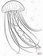 Jelly fish coloring page | Free Printable Coloring Pages