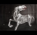 ghost horse by radacs on DeviantArt