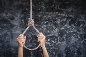 Hangmans Noose Suicide Women Hanging - Сток картинки - iStock