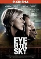 Eye in the Sky - film 2015 - AlloCiné