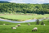 Agricoltura Del Paesaggio Del Paese, L'Inghilterra Immagine Stock ...