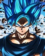 Goku Super Saiyan Blue Dragon Ball Super Personajes De Goku Pantalla De ...