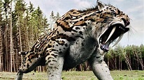 Saber-Tooth Tiger -Prehistoric Predator - Full Documentary - video ...