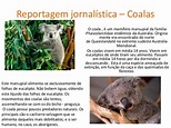 Reportagem jornalística – coalas