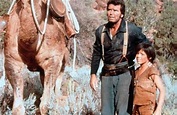 Ein Kamel im Wilden Westen (1973) - Film | cinema.de