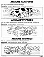 VirtuosasPedagogia: ATIVIDADES DE CIÊNCIAS 2° ANO - ANIMAIS I