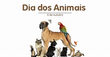 Dia dos Animais | 4 de Outubro