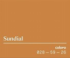 PANTONE COLOUR ..... Sundial colour (WGSN) . | Sundial, Pantone color ...