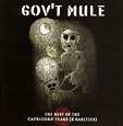 bol.com | The Best of the Capricorn Years, Gov't Mule | CD (album) | Muziek