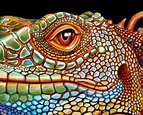 Iguana by Tim Jeffs | Art