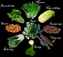 Don't like eating greens? Blame it on Brassica domestication- All ...